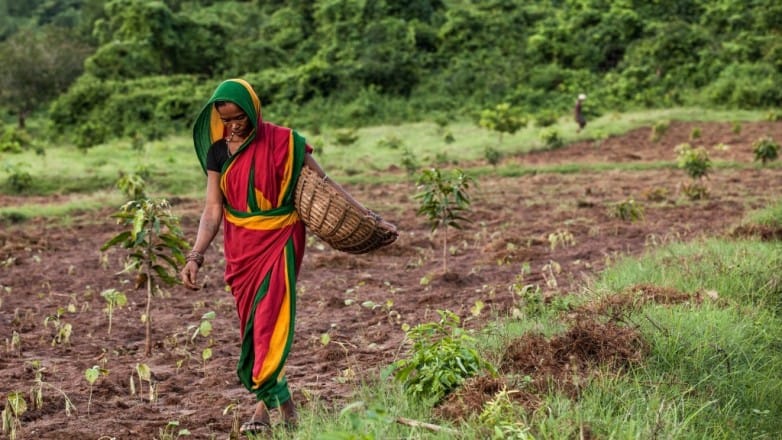 Le Groupe OCP va investir dans une usine d&rsquo;engrais en Inde