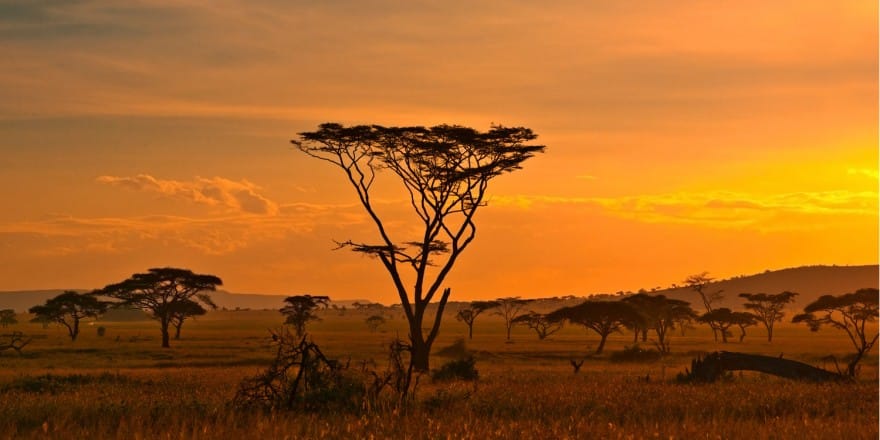 OCP: Création de 14 nouvelles filiales en Afrique