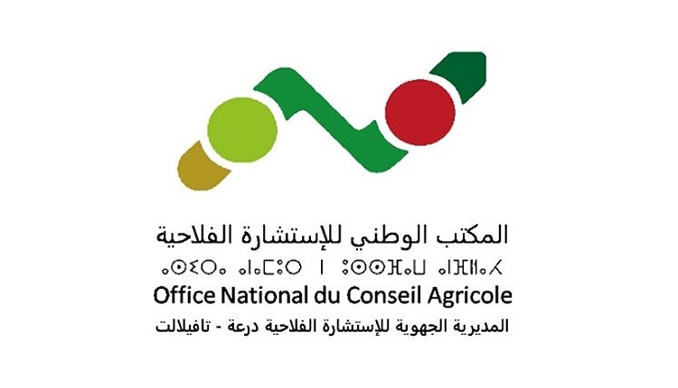 Guelmim Oued-Noun : une centaine d&rsquo;agriculteurs accompagnés par l&rsquo;ONCA