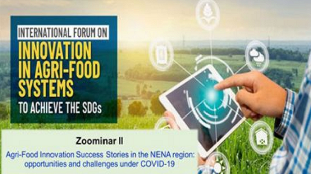 L&rsquo;ONU vote l&rsquo;innovation marocaine «Attaissir» comme la meilleure protection Covid-19 pour les agriculteurs