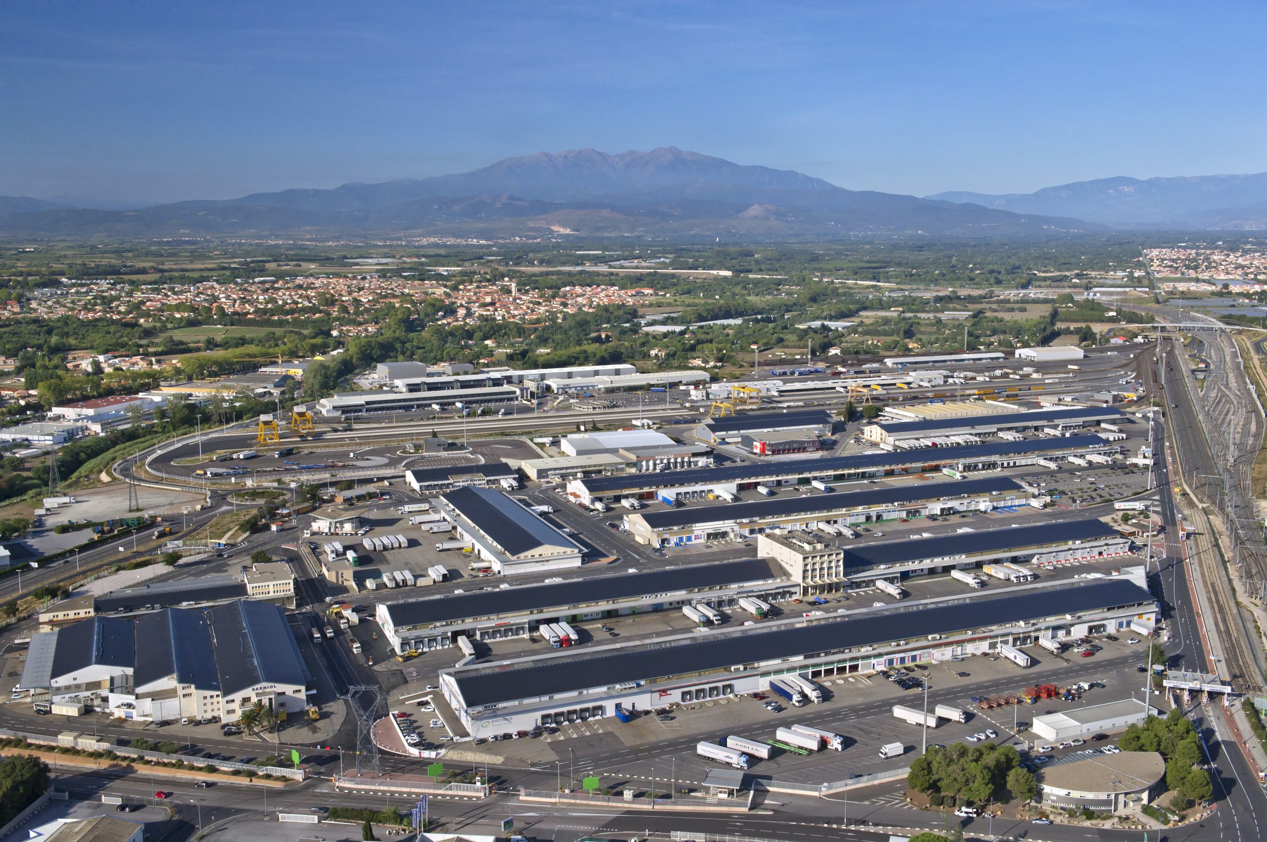 Comment rester leader en Europe ? La stratégie de Saint-Charles International, hub majeur de l’export de fruits et légumes