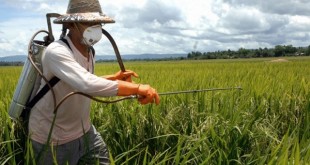Les produits phytosanitaires exposent les agriculteurs à de graves maladies