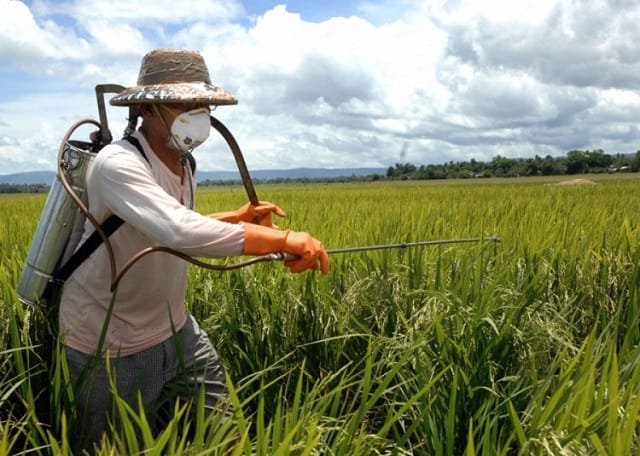 Moderniser la surveillance phytosanitaire devient un enjeu majeur selon les experts