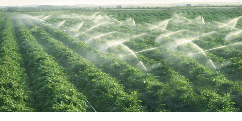 Quelle stratégie agricole après le Plan Maroc Vert ?