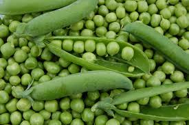 Hausse de la production mondiale de pois