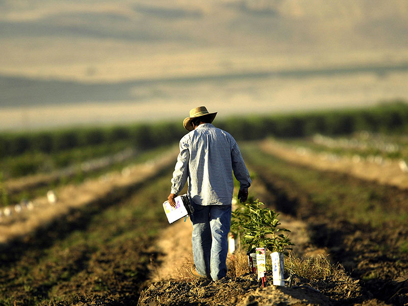 Canada: PotashCorp et Agrium vont fusionner leurs activités