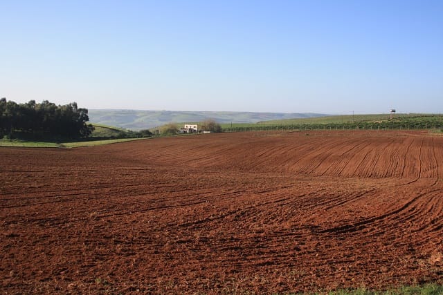 Rencontre sur le recensement général de l’agriculture