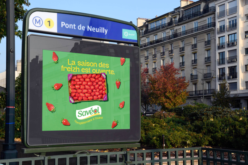 La coopérative française Savéol annonce l&rsquo;arrivée de ses fraises sur le marché