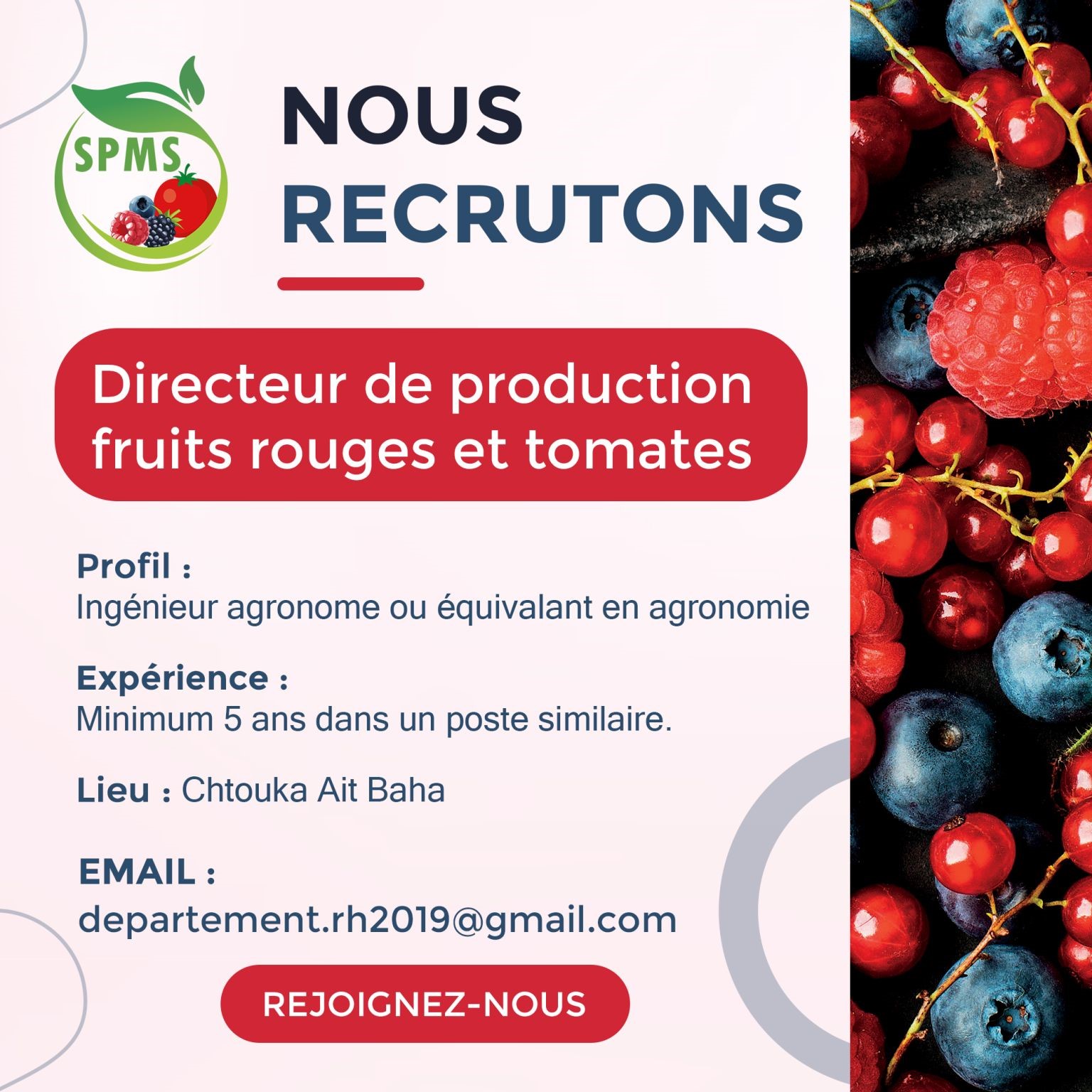 SPMS recrute un Directeur de Production Fruits Rouges et Tomates