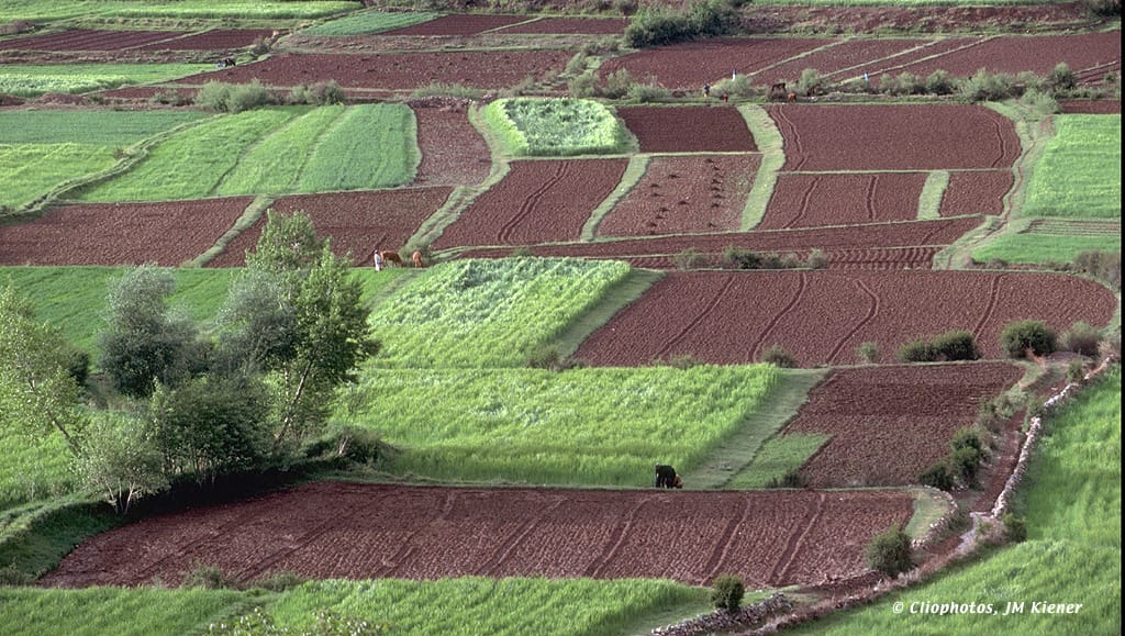 SPTF: 16% des microcrédits consacrés au secteur agricole