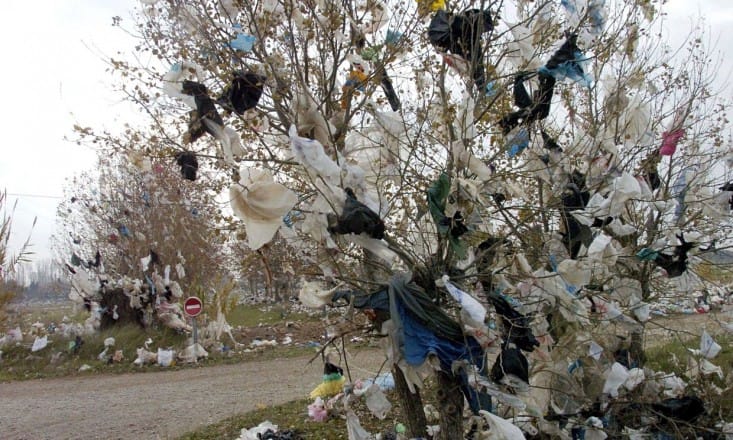 La campagne de sensibilisation « Zéro Mika » est lancée