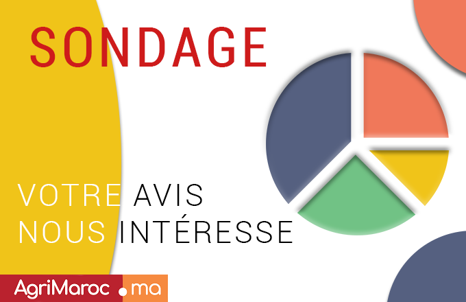 Sondage: 37% des agriculteurs marocains souhaitent diversifier leur activité