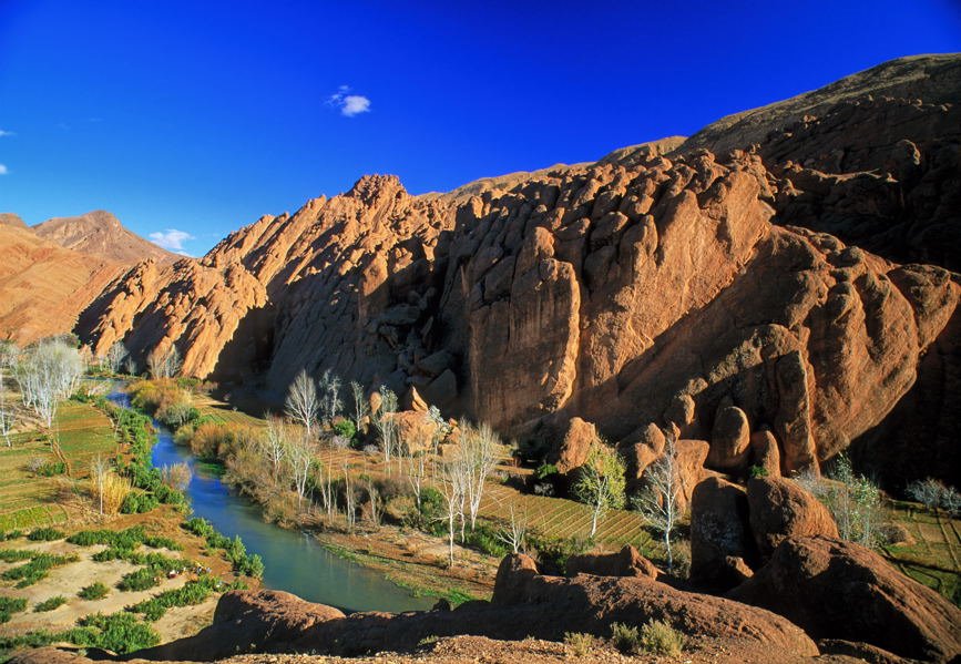 L&rsquo;agriculture dans la région du Souss Massa est menacée