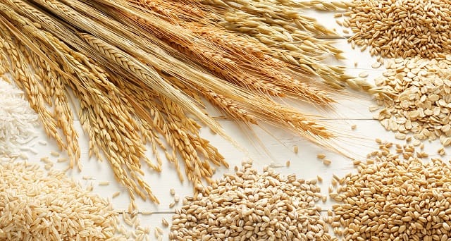 Syngenta face à la justice