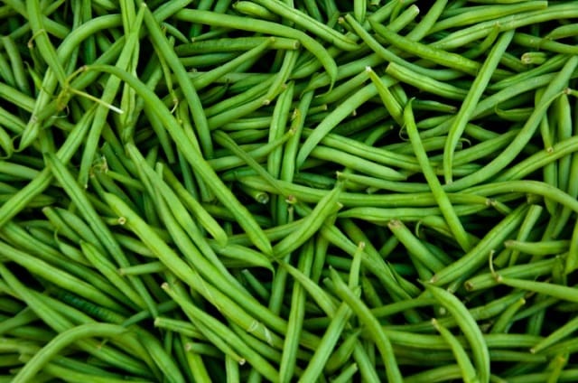 UE : le Maroc renforce sa position sur le segment du haricot vert frais