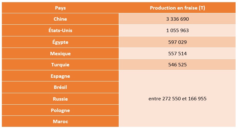 Top 10 des pays producteurs de fraises selon le World Population Review