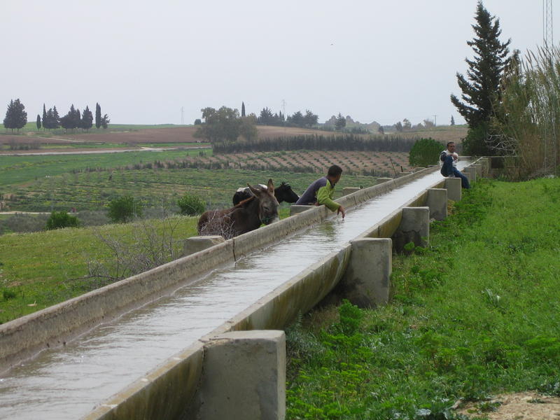 Tunisie: Le Gouvernement obligé de rationner l&rsquo;eau d&rsquo;irrigation ?