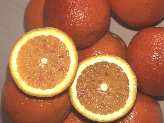Démarrage de la campagne d&rsquo;exportations des oranges en Tunisie