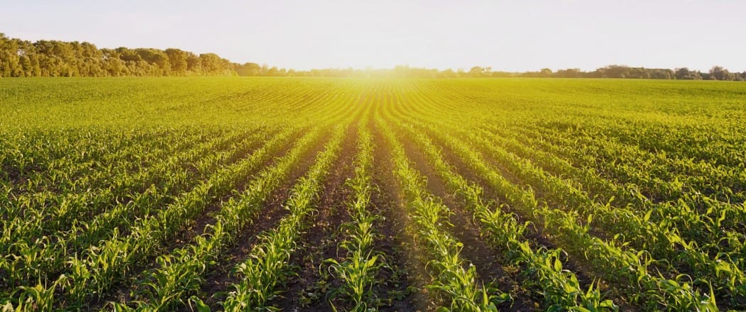 Valagro récompense le Meilleur Producteur Agricole 2015