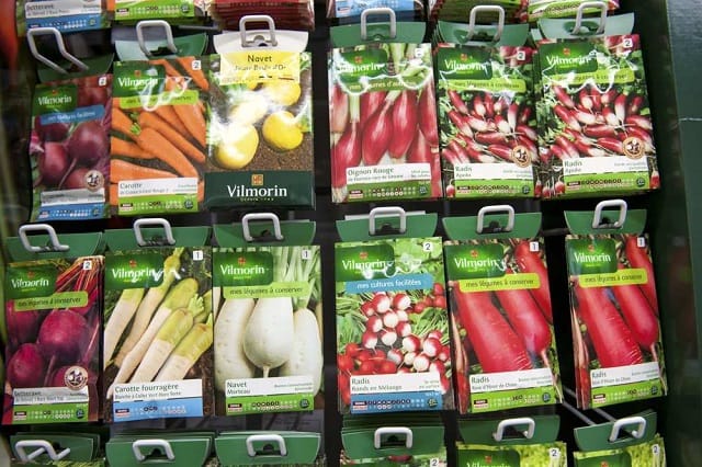 Vilmorin intéressé par une division de Syngenta