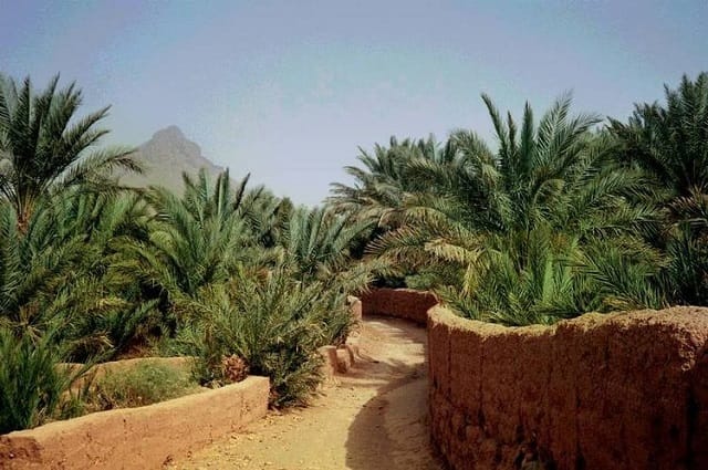 4è Forum des Oasis à Zagora, un programme riche et varié