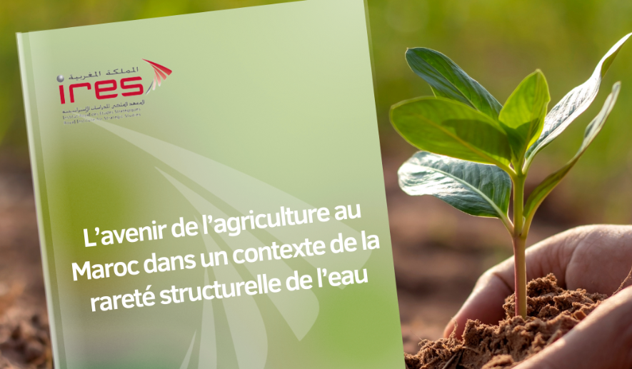 A lire : L’avenir de l’agriculture au Maroc dans un contexte de rareté structurelle de l’eau