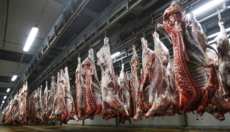 Les abattoirs de Casablanca couronnées par l&rsquo;agrément ONSSA et la certification ISO 22000