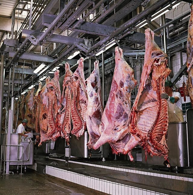 Vers l’informatisation des abattoirs de Casablanca