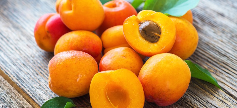 Abricots : Le Maroc 13ème producteur mondial