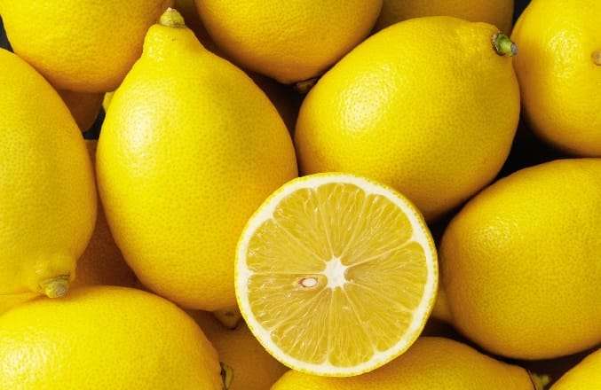 Afrique du Sud: Les exportations de citrons changent de destination
