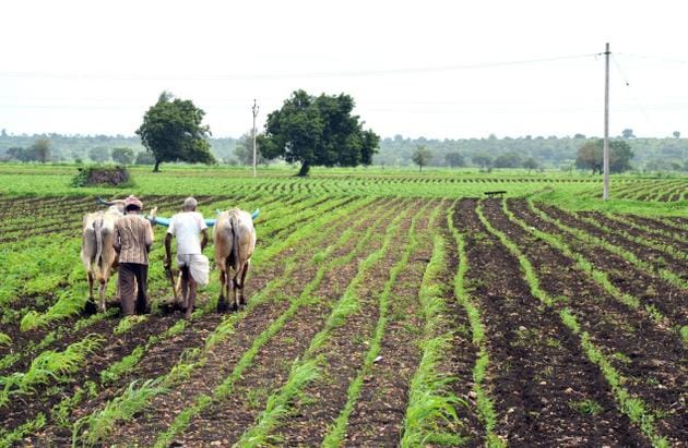 800 000 jeunes diplômés vers l&rsquo;agriculture?