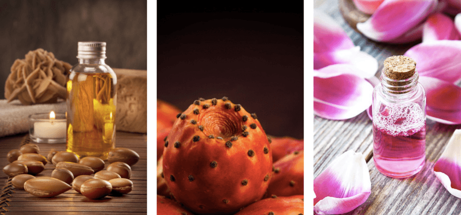 Agadir: Salon National des produits du terroir