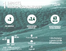 plan maroc vert impacts économiques