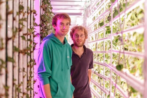 # Agricool : l’agriculture en container