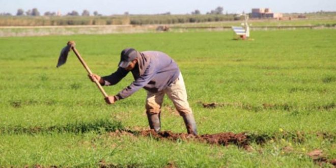 La MAMDA anticipe de deux mois l'indemnisation des agriculteurs