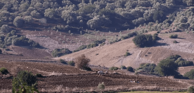 « La croissance verte au Maroc » 300 millions de dollars pour…