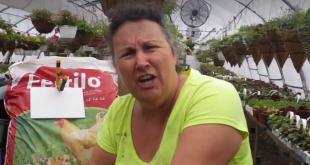 Vidéos buzz! Une horticultrice du Quebec enflamme le web!