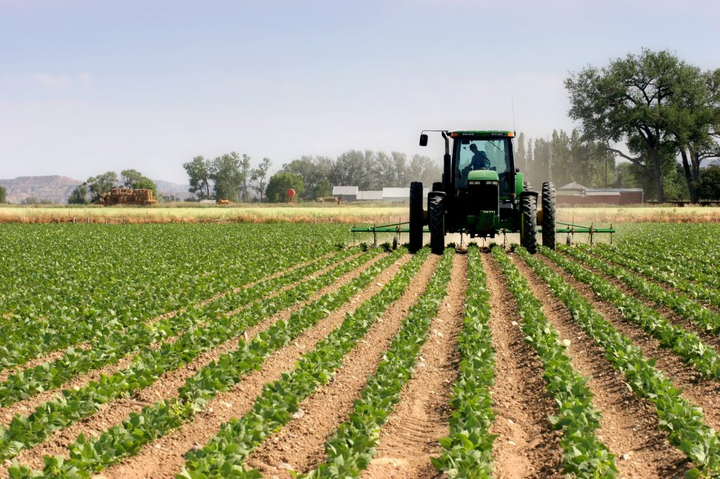 Transformation agricole et changements climatiques : Le Maroc récompensé pour ses efforts