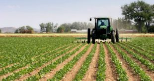 agriculture Rabat-Salé sur la bonne voie