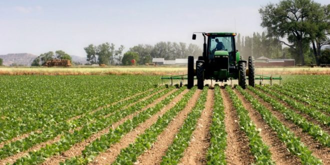 agriculture Rabat-Salé sur la bonne voie