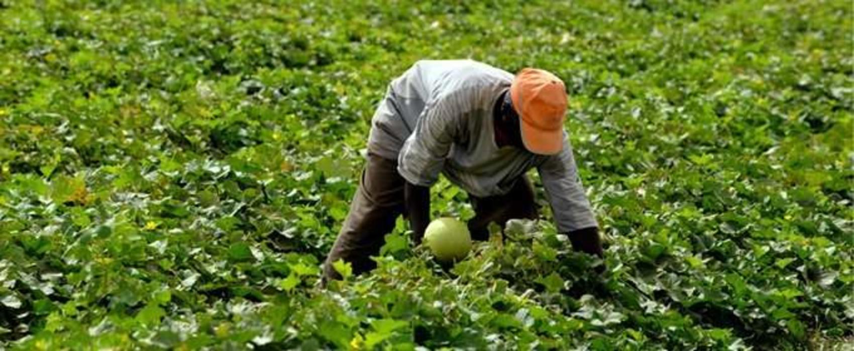 Semlali: « une importance particulière au foncier collectif qui contribue efficacement au développement social et économique du Maroc »