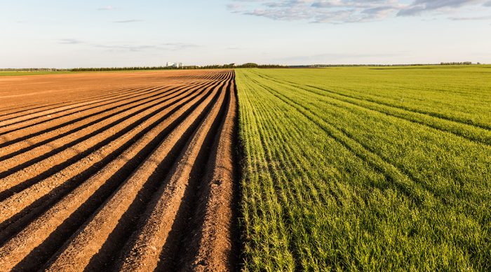 France : plus d’un milliard d’euros mobilisé pour soutenir l’agriculture après la sécheresse