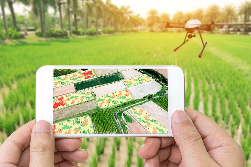 Entreprises agricoles: Une startup marocaine parmi les plus prospères du continent