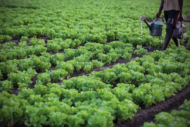Agriculture : le savoir-faire Normand au service du Maroc