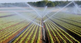 Eau : Le Maroc prévoit d'économiser 2,5 milliards de m3 dans l'agriculture