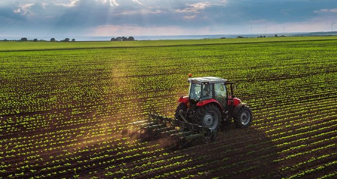 Le mancozèbe sera interdit dans l&rsquo;UE à partir de 2021