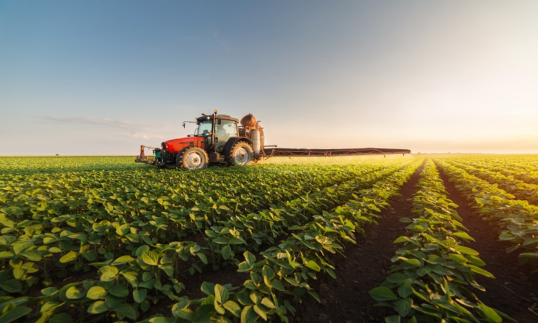 Le budget d&rsquo;investissement du ministère de l&rsquo;Agriculture s&rsquo;élève à 14,8 MMDH