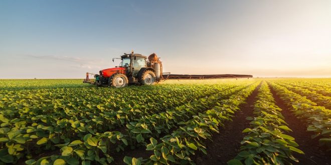 agriculture relance économique