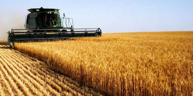 Fès-Meknès : une baisse considérable de la production agricole se profile