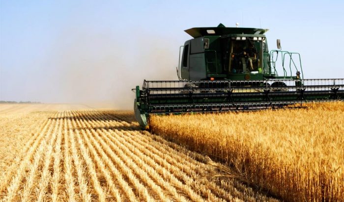Béni Mellal-Khénifra : 150.000 qtx de semences au profit des agriculteurs